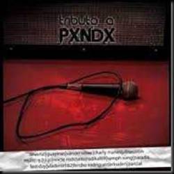 Panda : Tributo a Panda